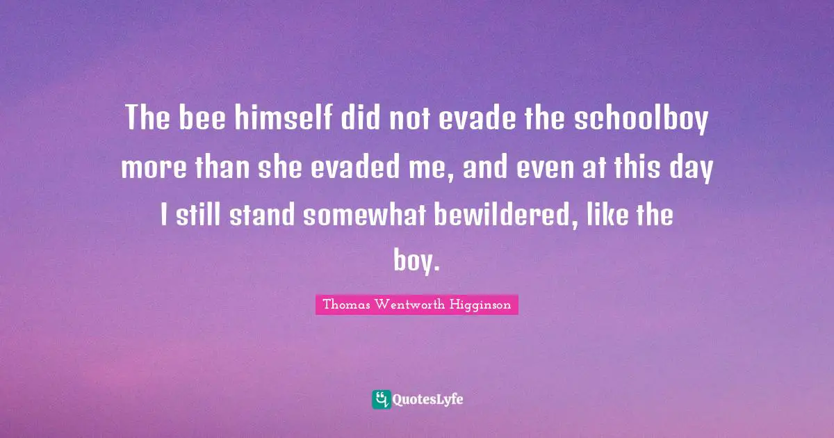 The bee himself did not evade the schoolboy more than she evaded me, and even at this day I still stand somewhat bewildered, like the boy.