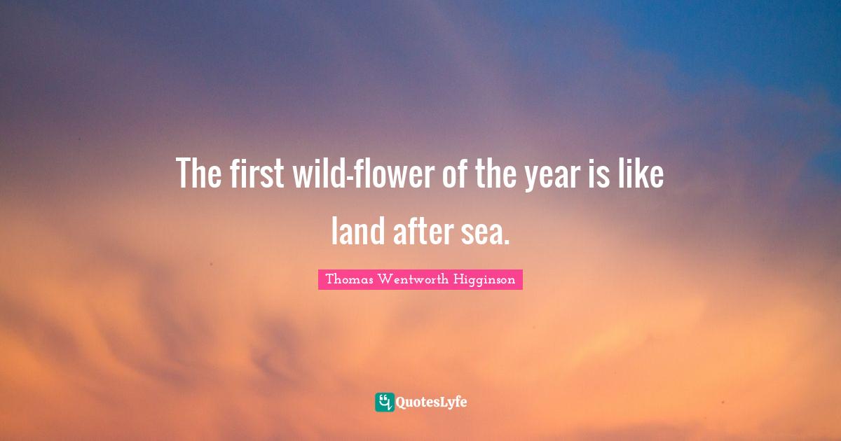 The first wild-flower of the year is like land after sea.