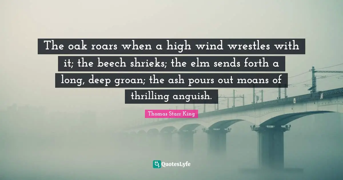The oak roars when a high wind wrestles with it; the beech shrieks; the elm sends forth a long, deep groan; the ash pours out moans of thrilling anguish.