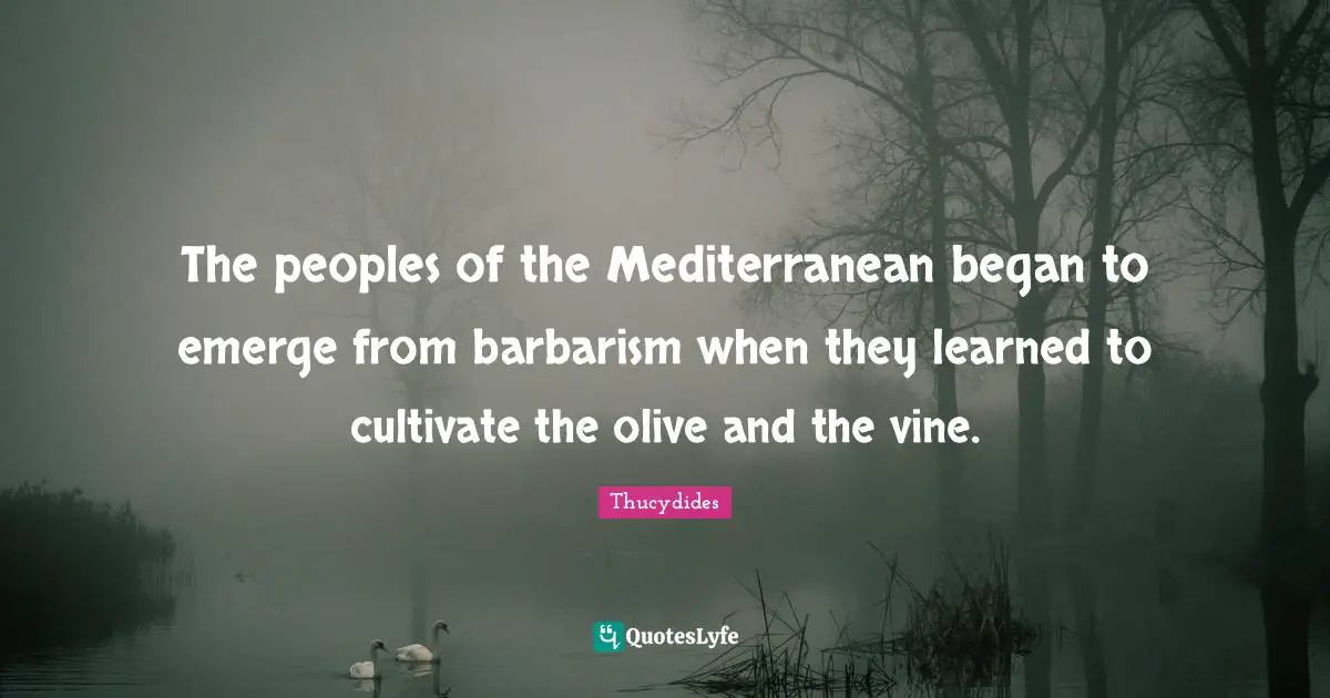 Olives Quotes: "The peoples of the Mediterranean began to emerge from barbarism when they learned to cultivate the olive and the vine."