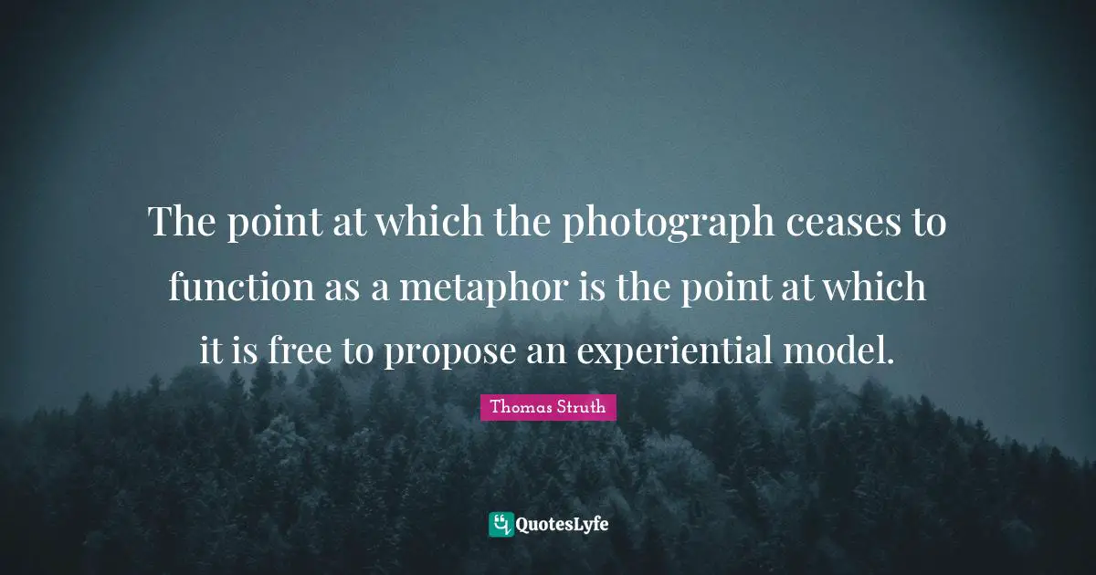 The point at which the photograph ceases to function as a metaphor is the point at which it is free to propose an experiential model.