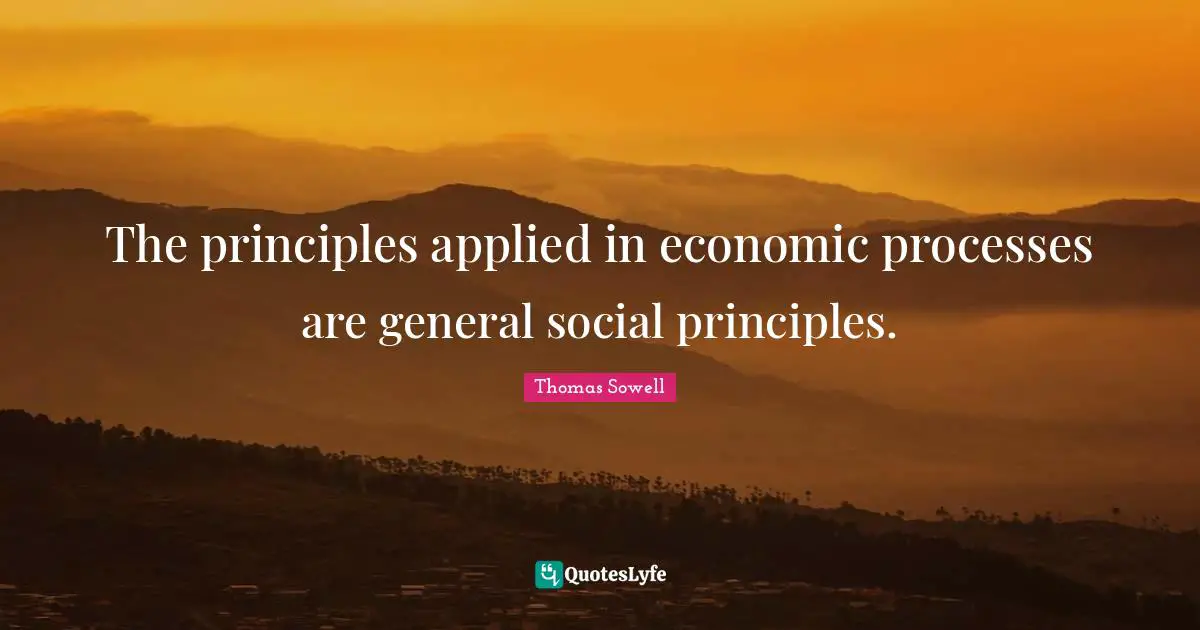 The principles applied in economic processes are general social principles.