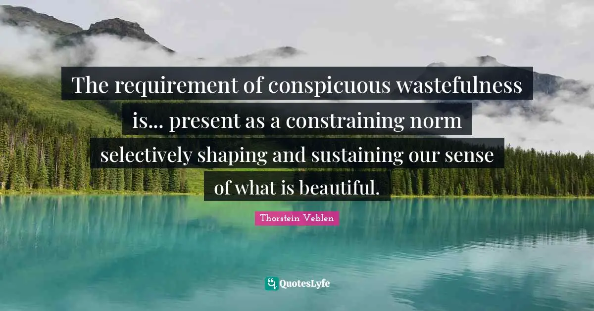The requirement of conspicuous wastefulness is... present as a constraining norm selectively shaping and sustaining our sense of what is beautiful.