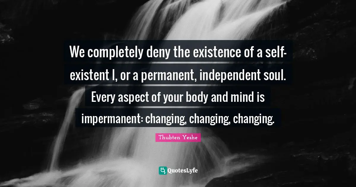 We completely deny the existence of a self-existent I, or a permanent, independent soul. Every aspect of your body and mind is impermanent: changing, changing, changing.