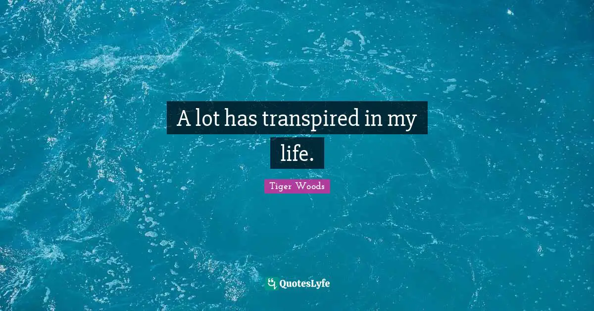 A lot has transpired in my life.