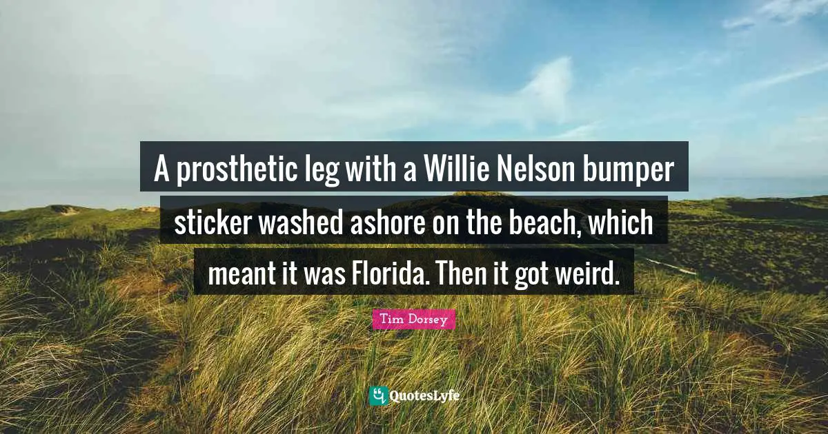 A prosthetic leg with a Willie Nelson bumper sticker washed ashore on the beach, which meant it was Florida. Then it got weird.