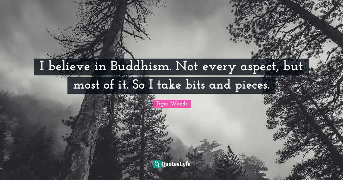 I believe in Buddhism. Not every aspect, but most of it. So I take bits and pieces.