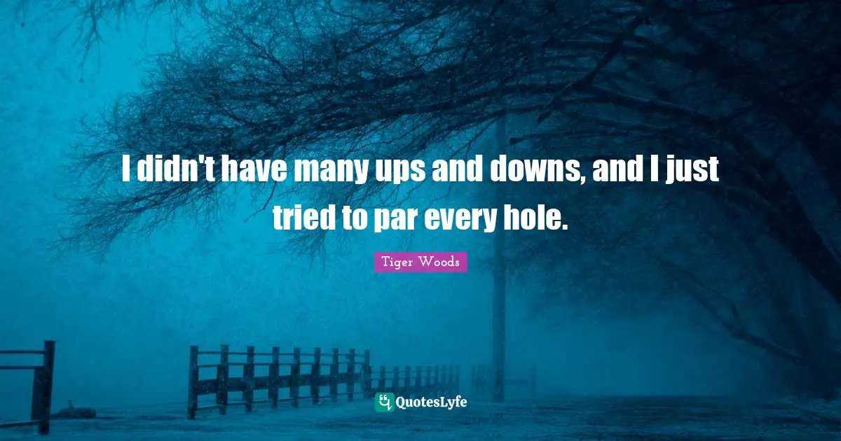 Ups Downs Quotes: "I didn't have many ups and downs, and I just tried to par every hole."