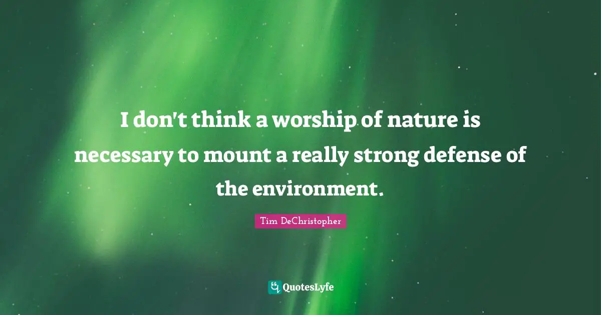 I don't think a worship of nature is necessary to mount a really strong defense of the environment.