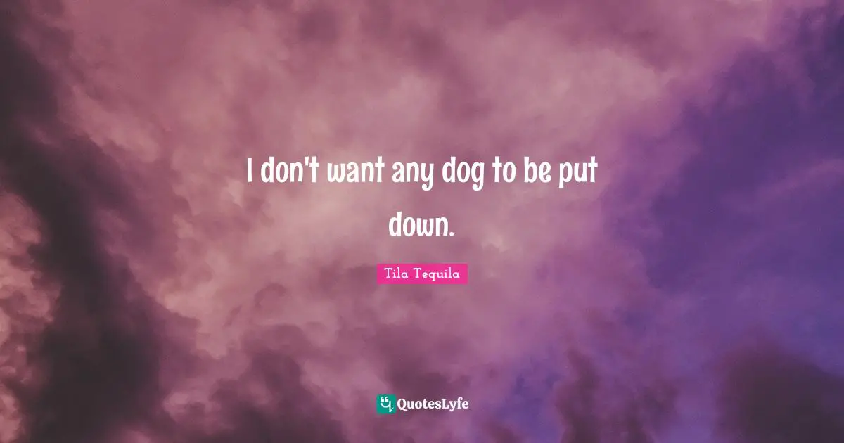 Tequila Quotes: "I don't want any dog to be put down."