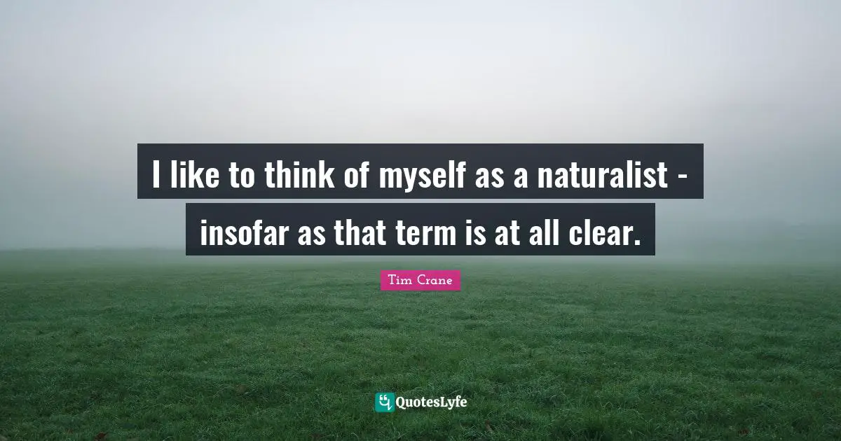 I like to think of myself as a naturalist - insofar as that term is at all clear.
