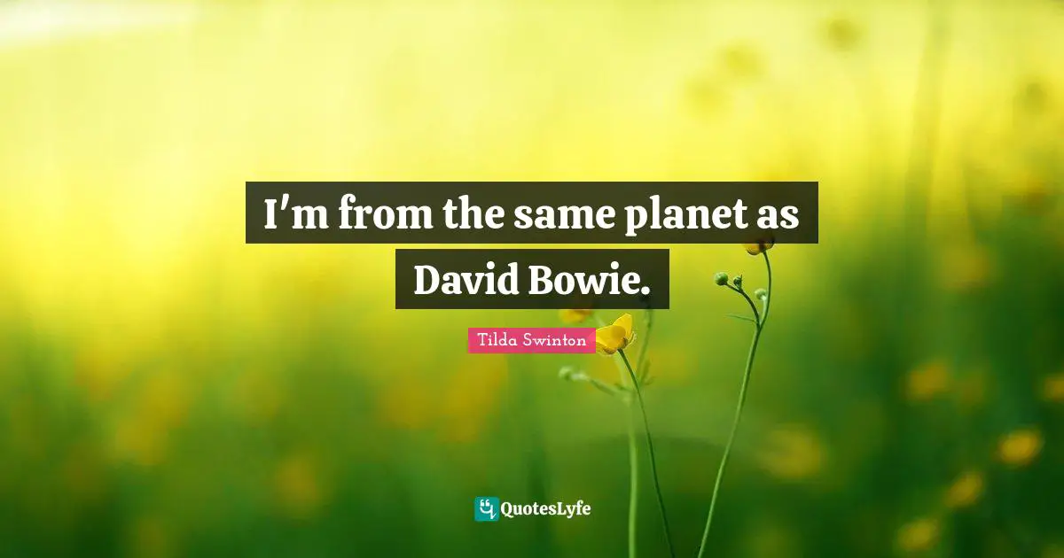 Planets Quotes: "I'm from the same planet as David Bowie."