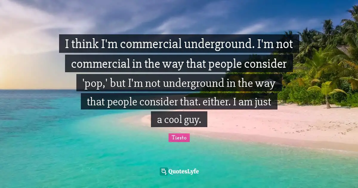 I think I'm commercial underground. I'm not commercial in the way that people consider 'pop,' but I'm not underground in the way that people consider that. either. I am just a cool guy.