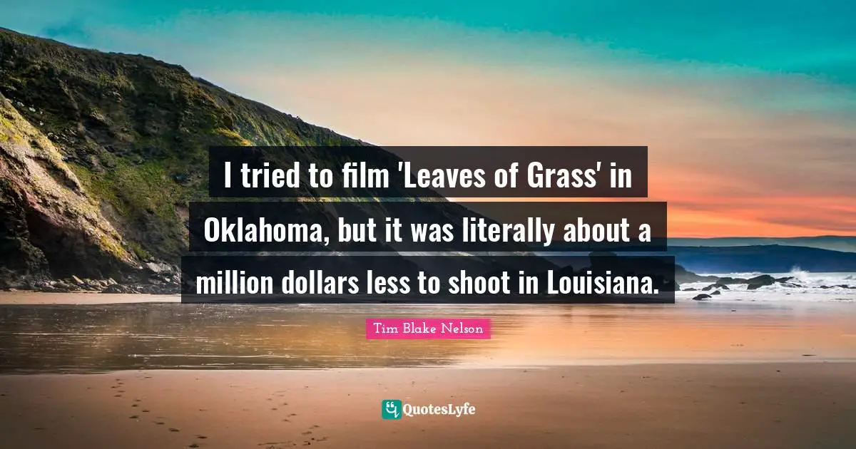 I tried to film 'Leaves of Grass' in Oklahoma, but it was literally about a million dollars less to shoot in Louisiana.