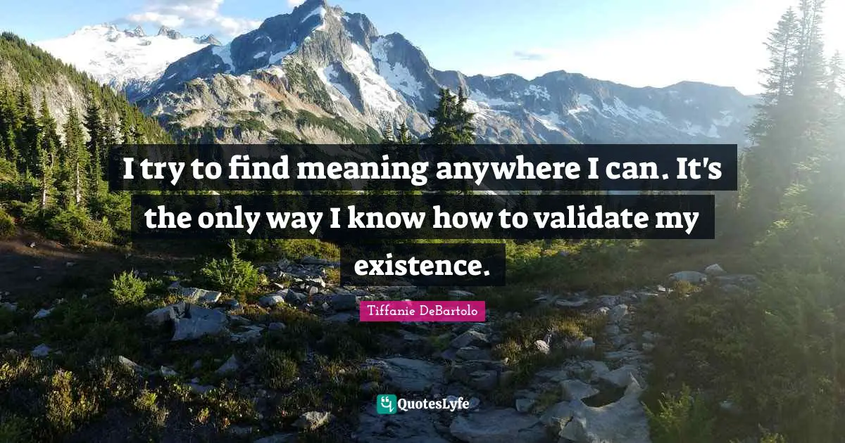 Tiffanie DeBartolo Quotes: "I try to find meaning anywhere I can. It's the only way I know how to validate my existence."