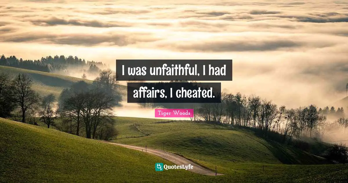 I was unfaithful, I had affairs, I cheated.