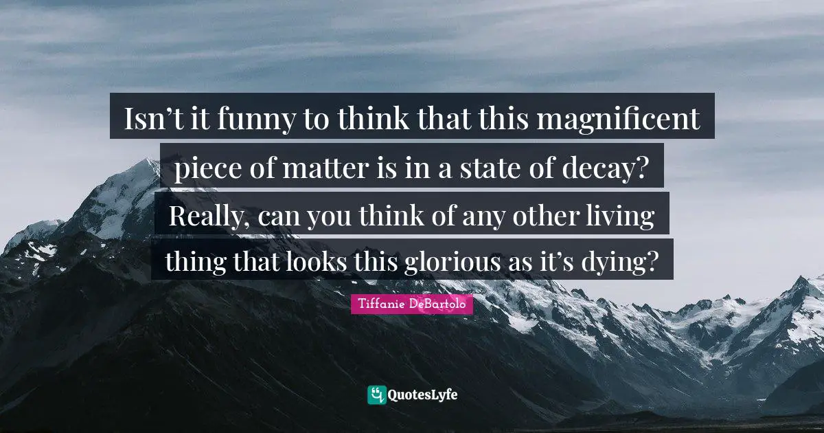 Tiffanie DeBartolo Quotes: "Isn’t it funny to think that this magnificent piece of matter is in a state of decay? Really, can you think of any other living thing that looks this glorious as it’s dying?"
