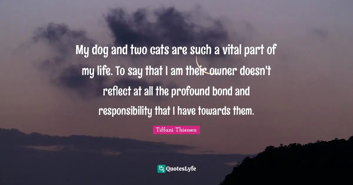 My dog and two cats are such a vital part of my life. To say that I am their owner doesn't reflect at all the profound bond and responsibility that I have towards them.