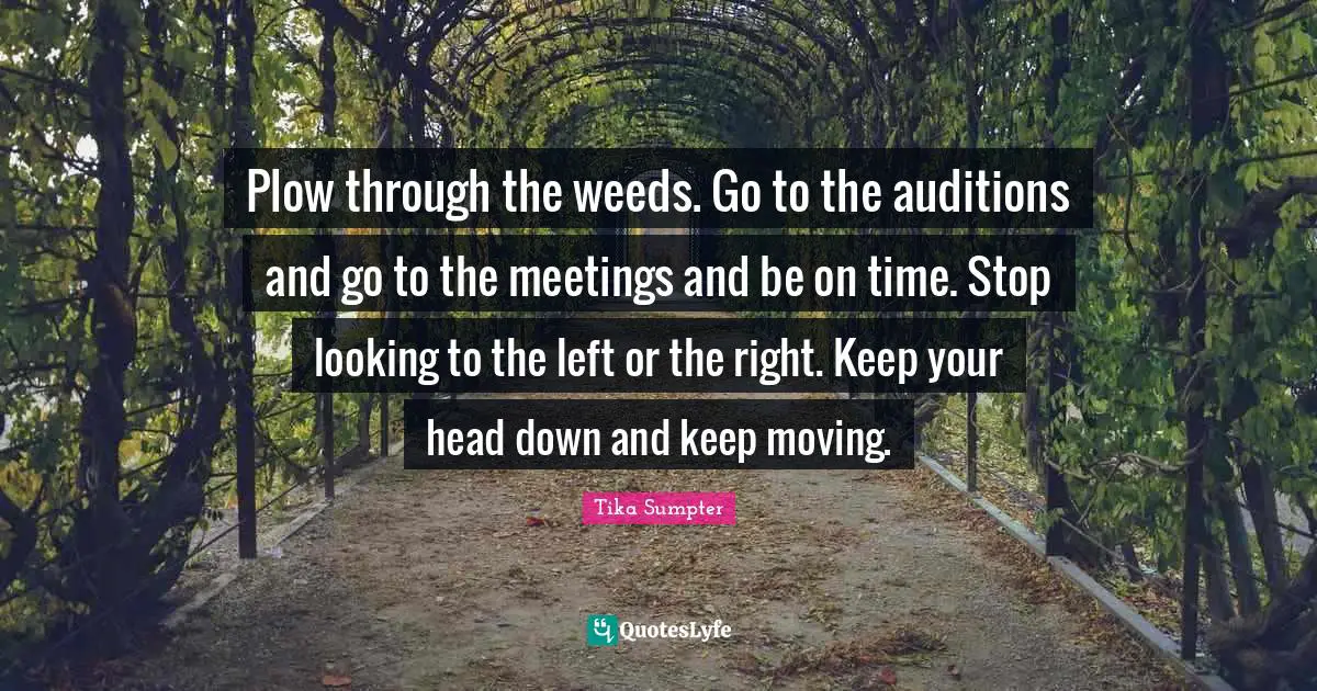 Plow through the weeds. Go to the auditions and go to the meetings and be on time. Stop looking to the left or the right. Keep your head down and keep moving.