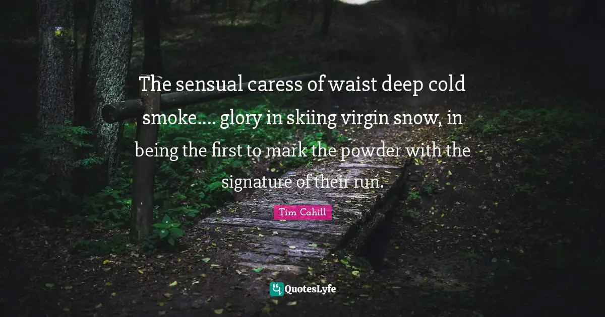 The sensual caress of waist deep cold smoke.... glory in skiing virgin snow, in being the first to mark the powder with the signature of their run.