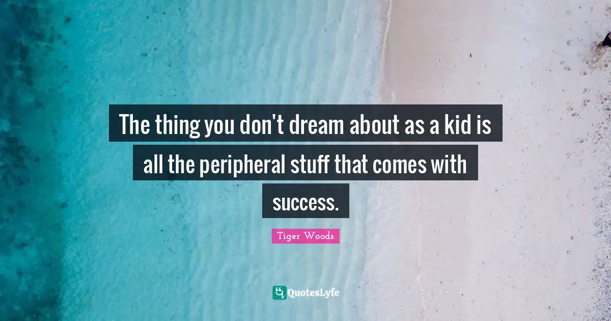 The thing you don't dream about as a kid is all the peripheral stuff that comes with success.