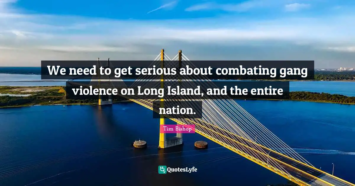 Island Quotes: "We need to get serious about combating gang violence on Long Island, and the entire nation."