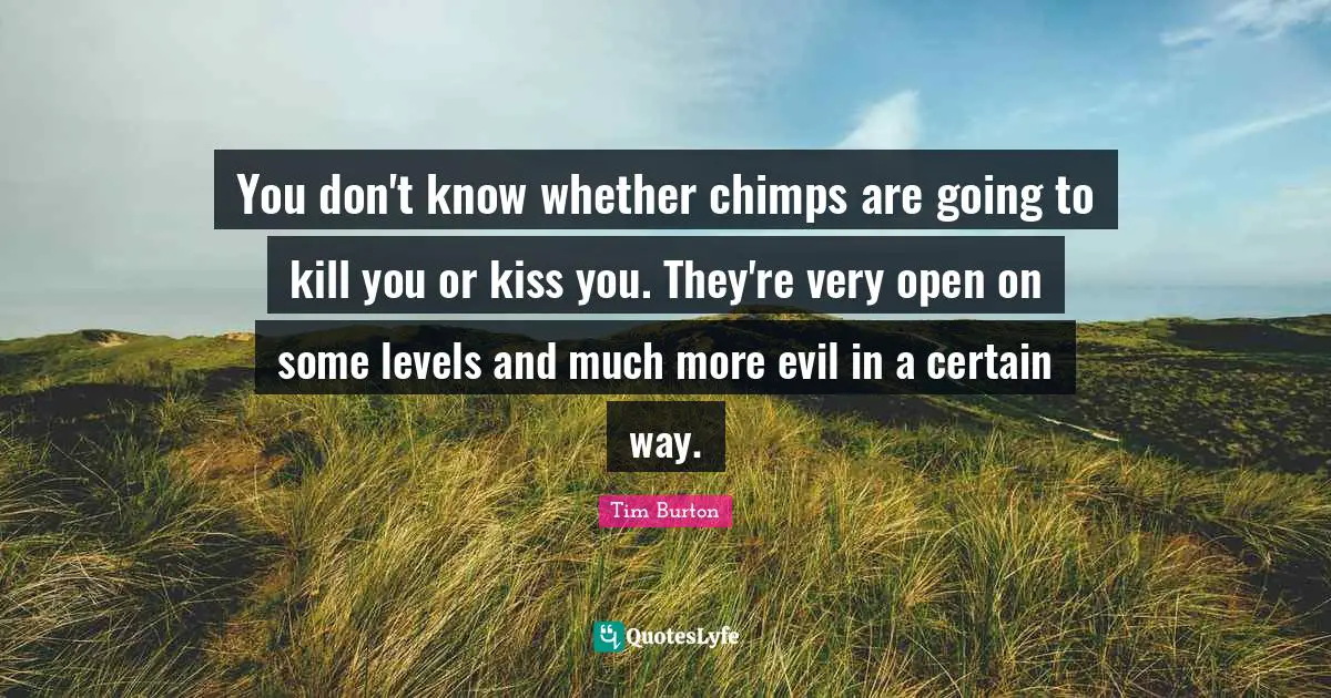 You don't know whether chimps are going to kill you or kiss you. They're very open on some levels and much more evil in a certain way.