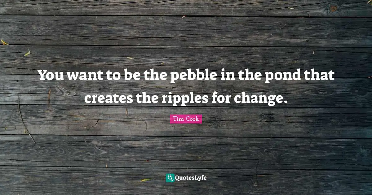 You want to be the pebble in the pond that creates the ripples for change.