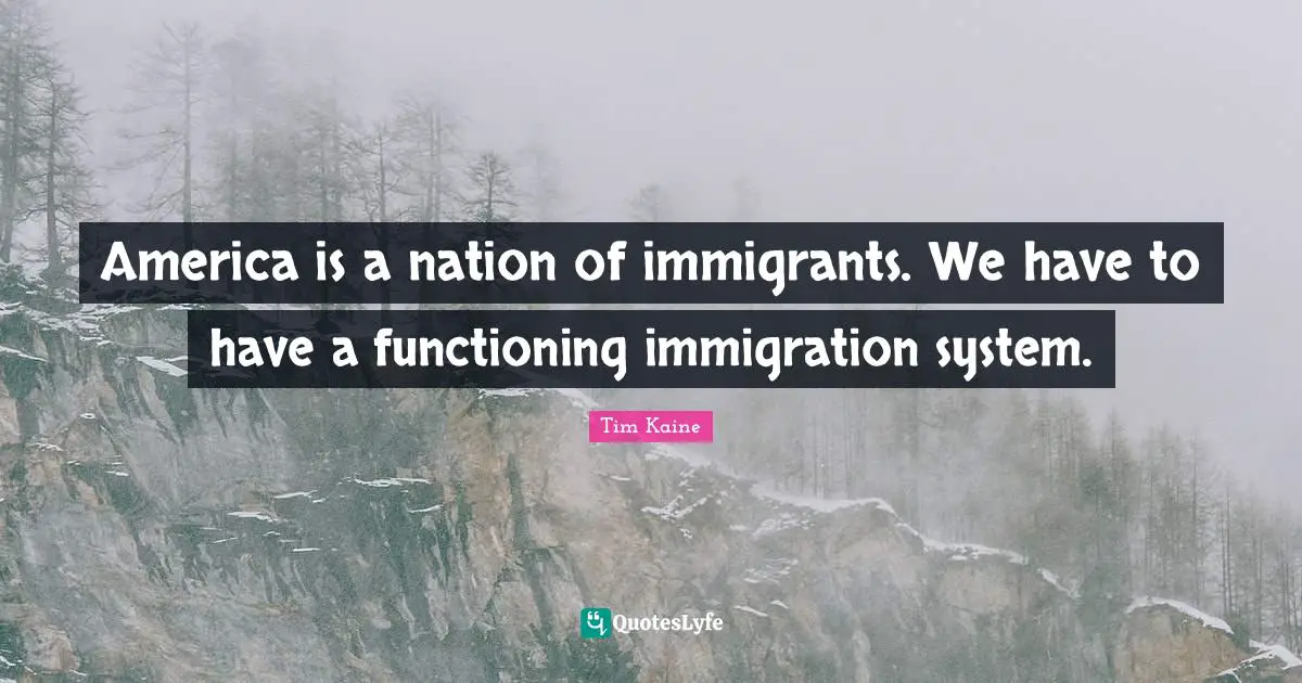 America is a nation of immigrants. We have to have a functioning immigration system.