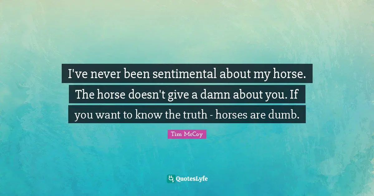I've never been sentimental about my horse. The horse doesn't give a damn about you. If you want to know the truth - horses are dumb.