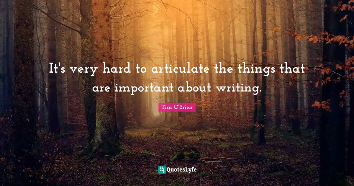 It's very hard to articulate the things that are important about writing.