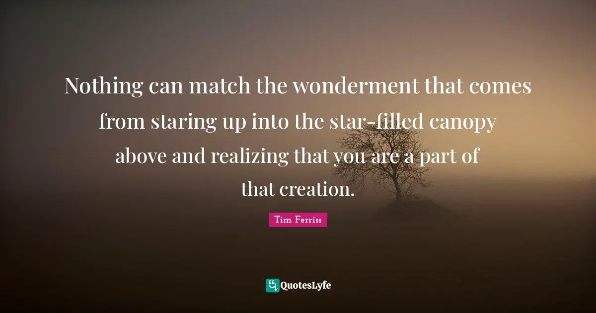 Tim Ferriss Quotes: "Nothing can match the wonderment that comes from staring up into the star-filled canopy above and realizing that you are a part of that creation."
