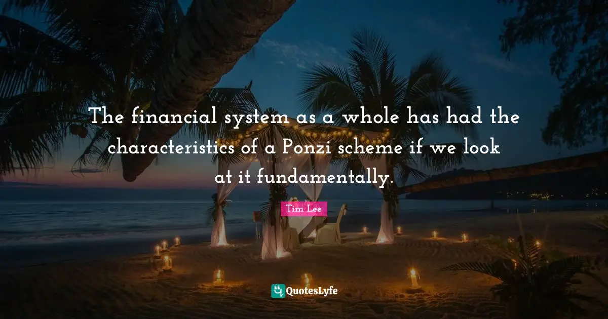 The financial system as a whole has had the characteristics of a Ponzi scheme if we look at it fundamentally.