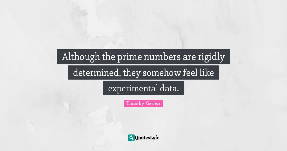 Although the prime numbers are rigidly determined, they somehow feel like experimental data.