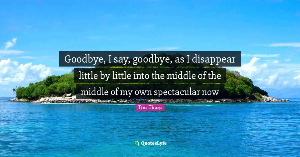 Goodbye, I say, goodbye, as I disappear little by little into the middle of the middle of my own spectacular now
