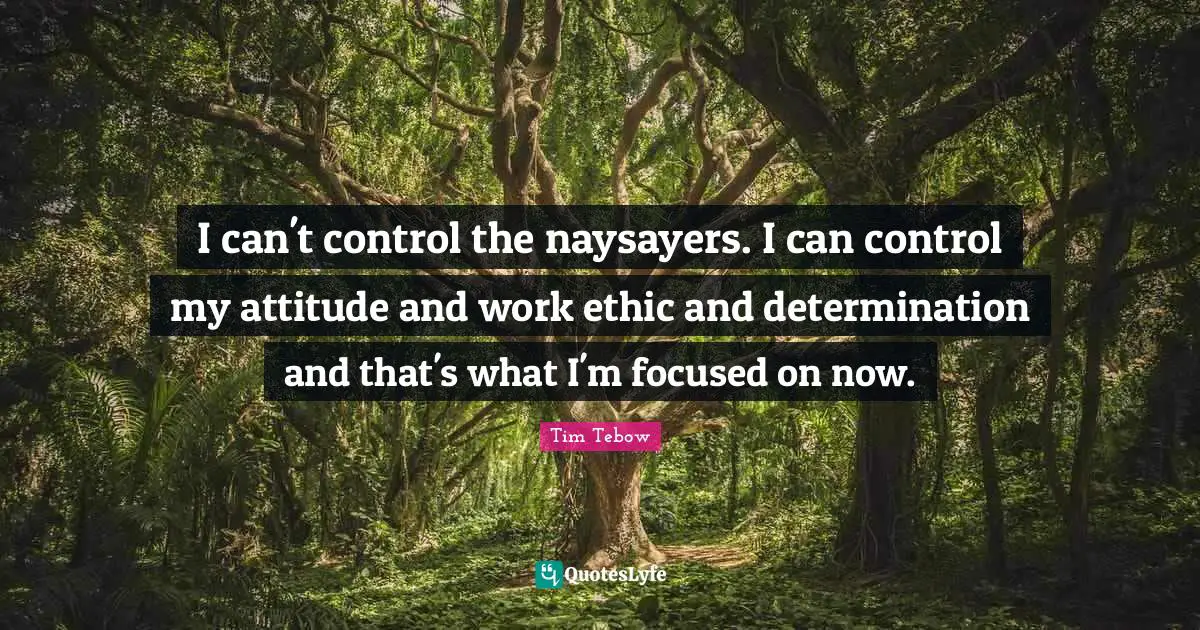 Work Ethic Quotes: "I can't control the naysayers. I can control my attitude and work ethic and determination and that's what I'm focused on now."
