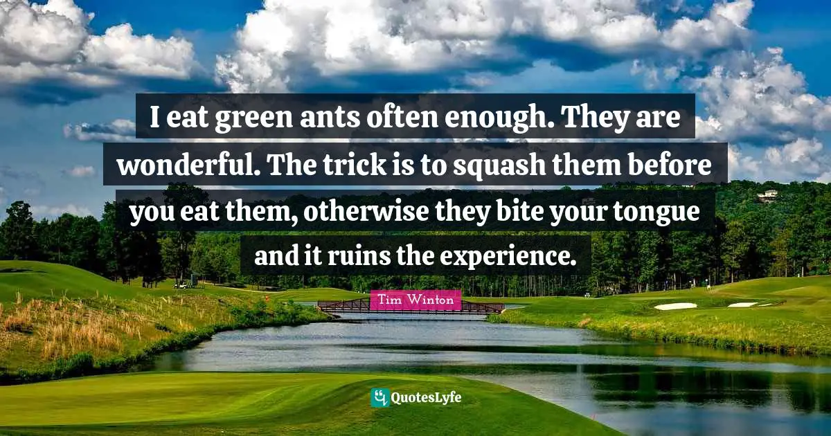 I eat green ants often enough. They are wonderful. The trick is to squash them before you eat them, otherwise they bite your tongue and it ruins the experience.