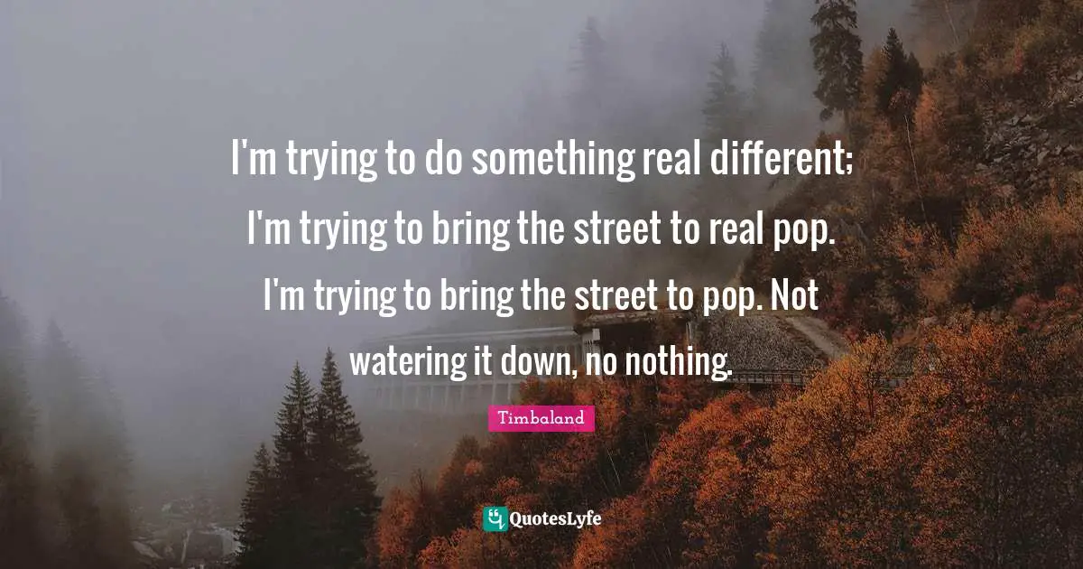 I'm trying to do something real different; I'm trying to bring the street to real pop. I'm trying to bring the street to pop. Not watering it down, no nothing.