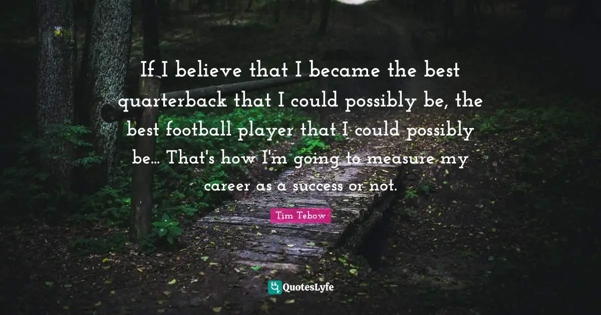 If I believe that I became the best quarterback that I could possibly be, the best football player that I could possibly be... That's how I'm going to measure my career as a success or not.