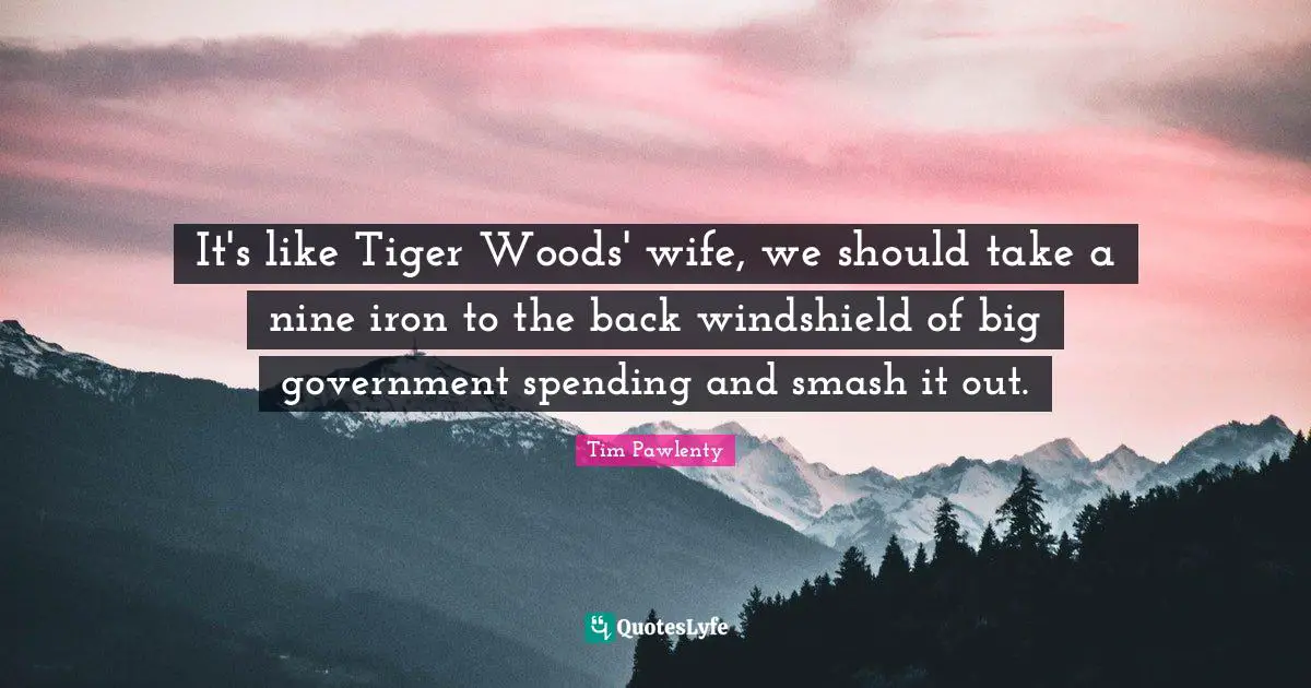 It's like Tiger Woods' wife, we should take a nine iron to the back windshield of big government spending and smash it out.