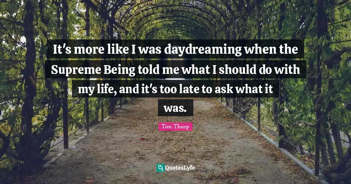 It's more like I was daydreaming when the Supreme Being told me what I should do with my life, and it's too late to ask what it was.