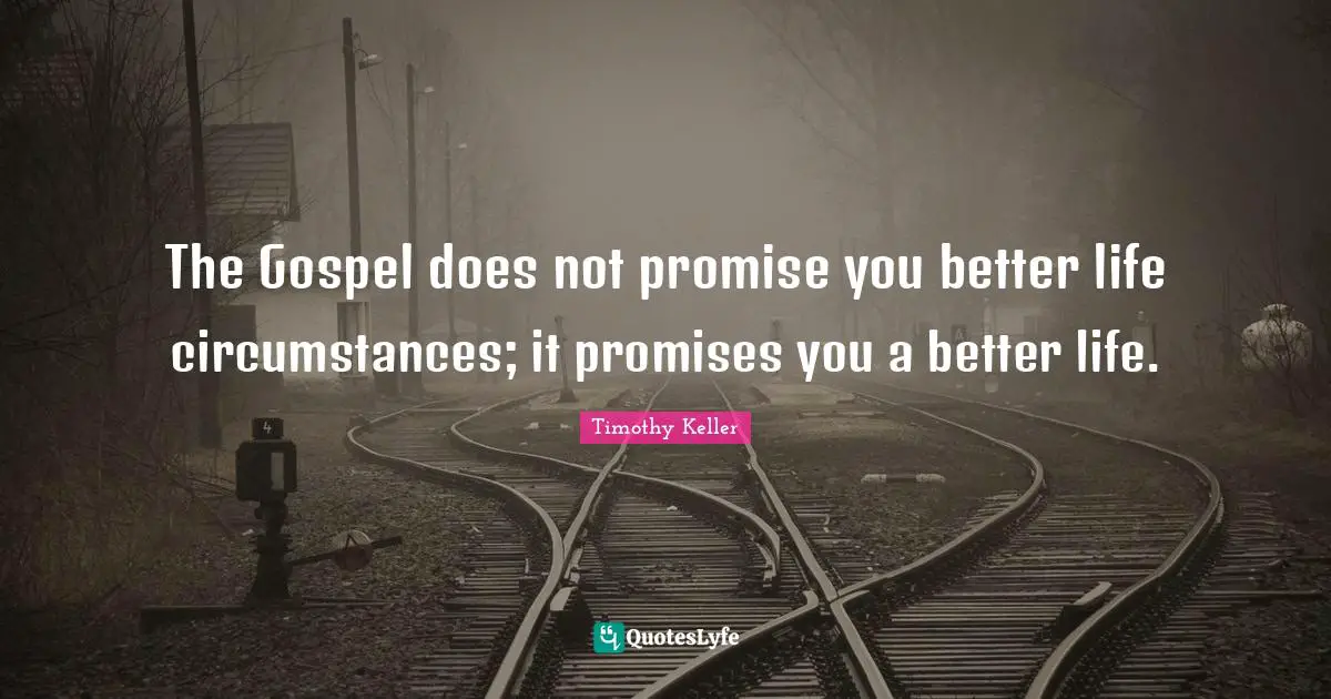 Better Life Quotes: "The Gospel does not promise you better life circumstances; it promises you a better life."