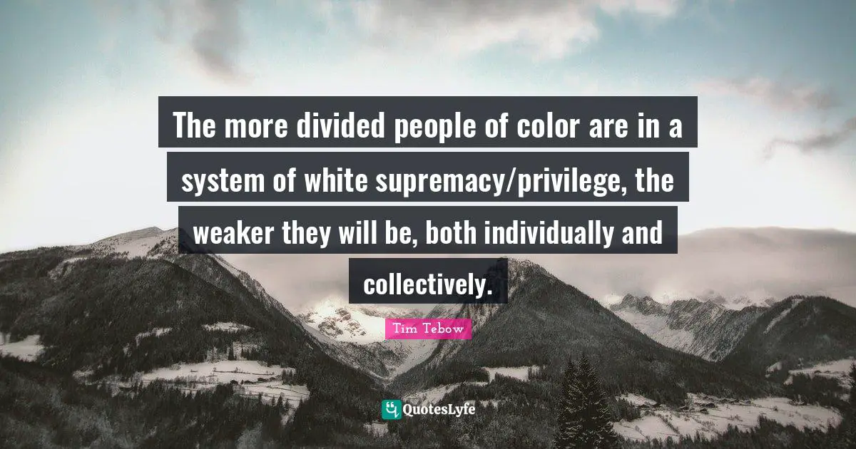 White Supremacy Quotes: "The more divided people of color are in a system of white supremacy/privilege, the weaker they will be, both individually and collectively."