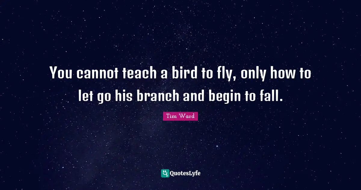 You cannot teach a bird to fly, only how to let go his branch and begin to fall.