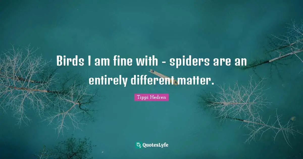 Spiders Quotes: "Birds I am fine with - spiders are an entirely different matter."