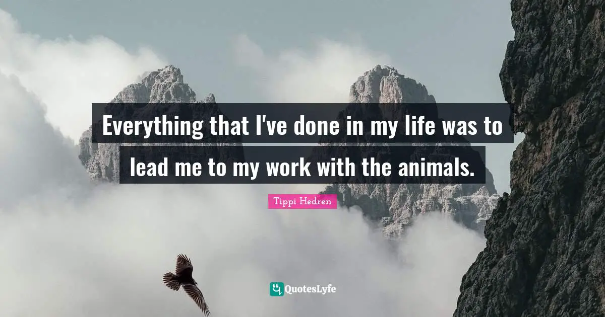 Everything that I've done in my life was to lead me to my work with the animals.