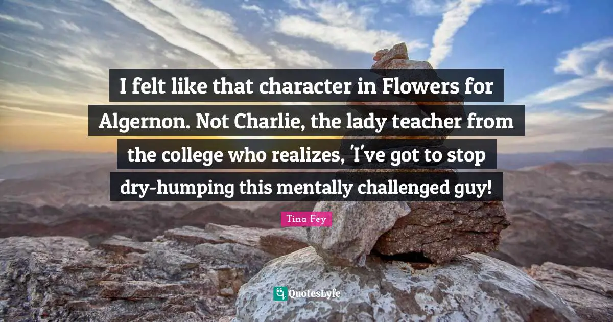 I felt like that character in Flowers for Algernon. Not Charlie, the lady teacher from the college who realizes, 'I've got to stop dry-humping this mentally challenged guy!