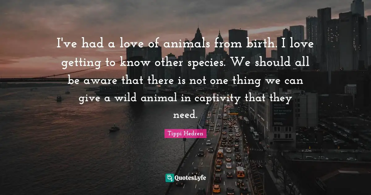 I've had a love of animals from birth. I love getting to know other species. We should all be aware that there is not one thing we can give a wild animal in captivity that they need.