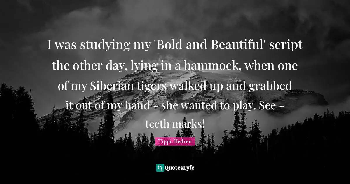 Tigers Quotes: "I was studying my 'Bold and Beautiful' script the other day, lying in a hammock, when one of my Siberian tigers walked up and grabbed it out of my hand - she wanted to play. See - teeth marks!"