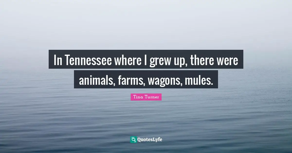 In Tennessee where I grew up, there were animals, farms, wagons, mules.